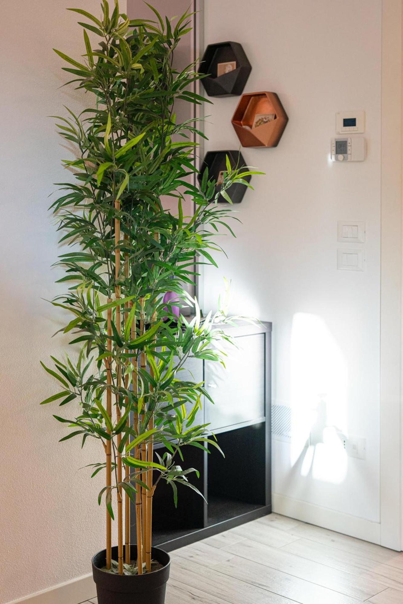 סאביניאנו סול רוביקונה Vera Home מראה חיצוני תמונה